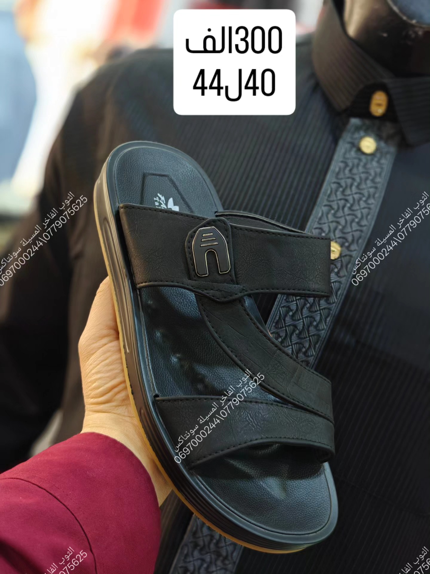 بليغة أنيقة